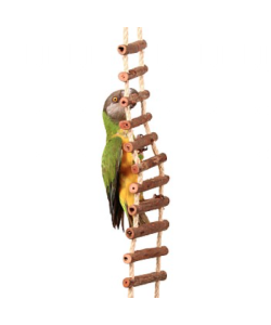 Natural Log Ladder Bridge Parrot Climbing Toy - Large